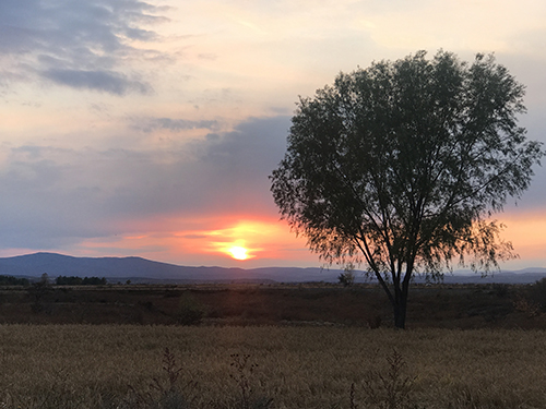 夕阳西下