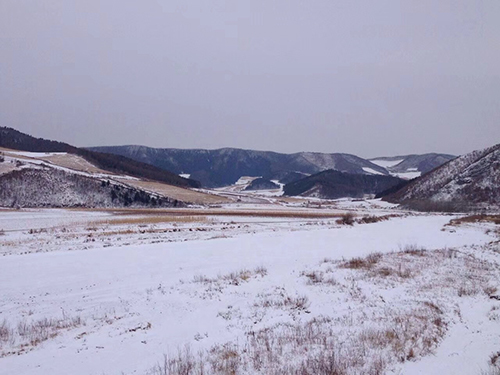 大雪覆盖稻田